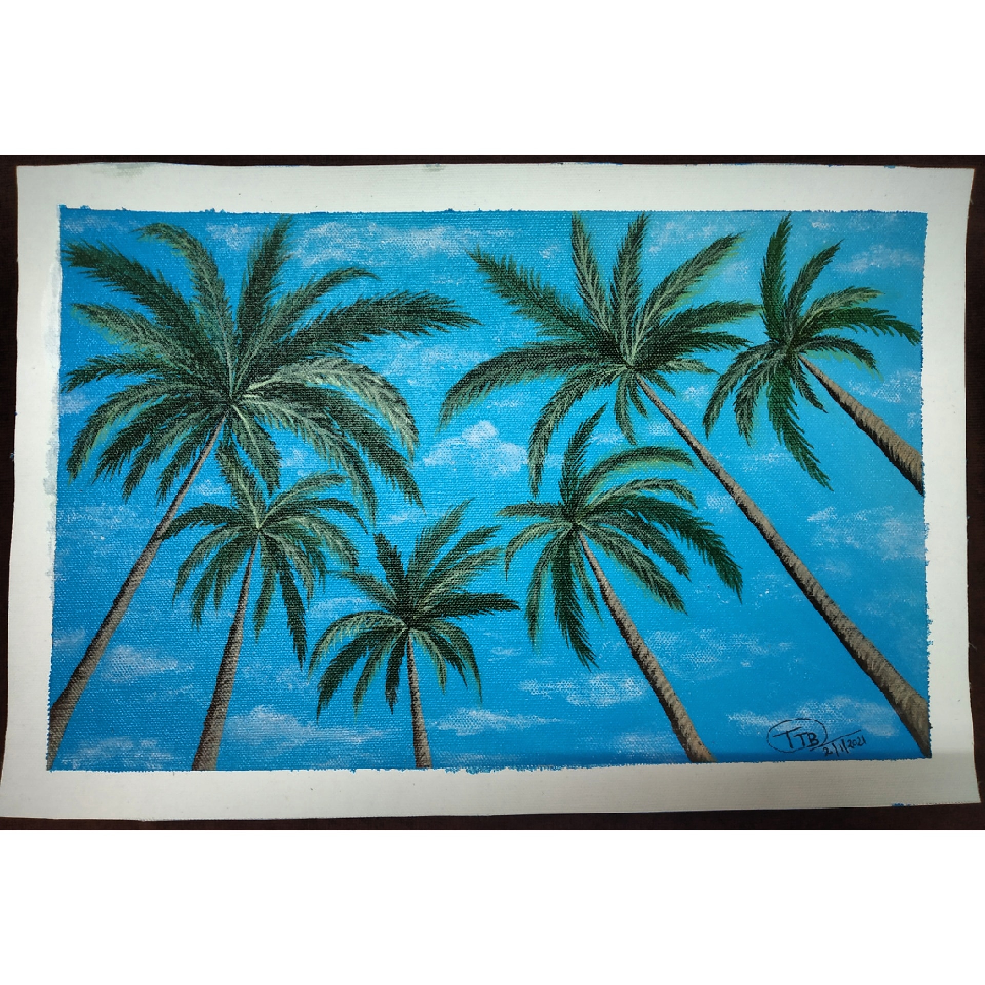 palm_trees